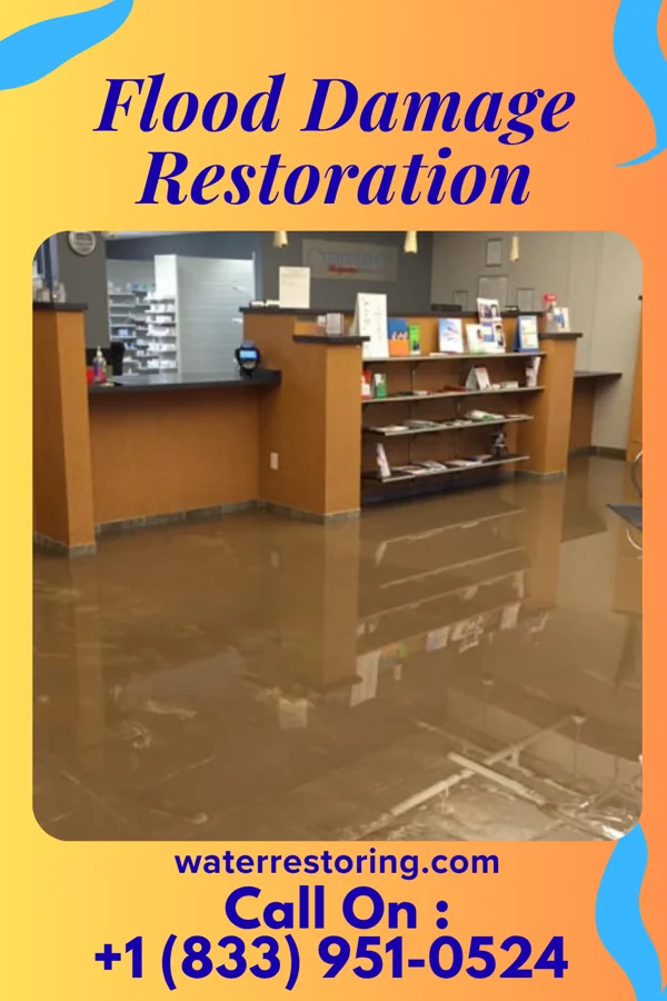 Flood Damage Restoration in Mexia, TX