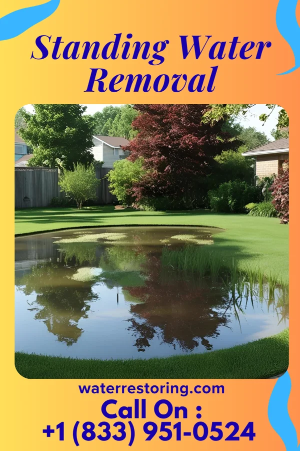 Standing Water Removal in Mexia, TX